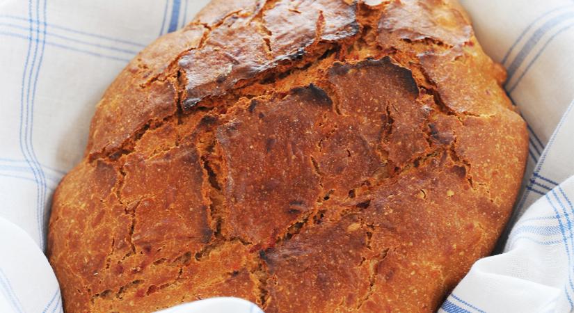 Így készítsünk házilag teljes kiőrlésű céklás kenyeret