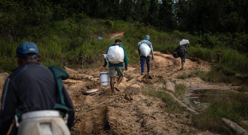 Illegális aranybánya okozott higanymérgezést egy őslakos brazil törzsnél