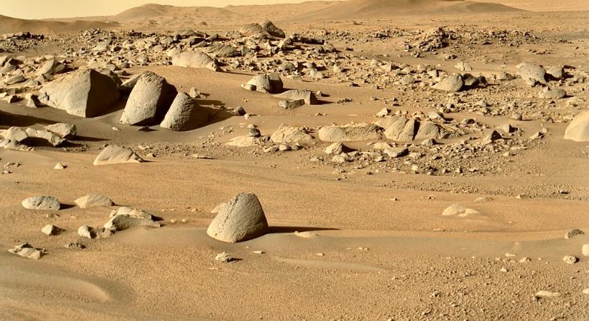 Földigiliszták is kellenek a marsi expedícióhoz