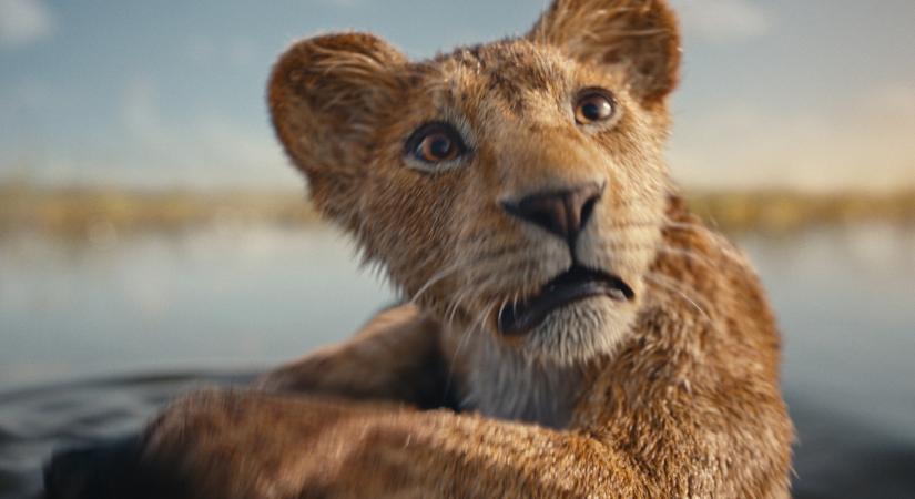Mufasa: Az oroszlánkirály teaser előzetes!