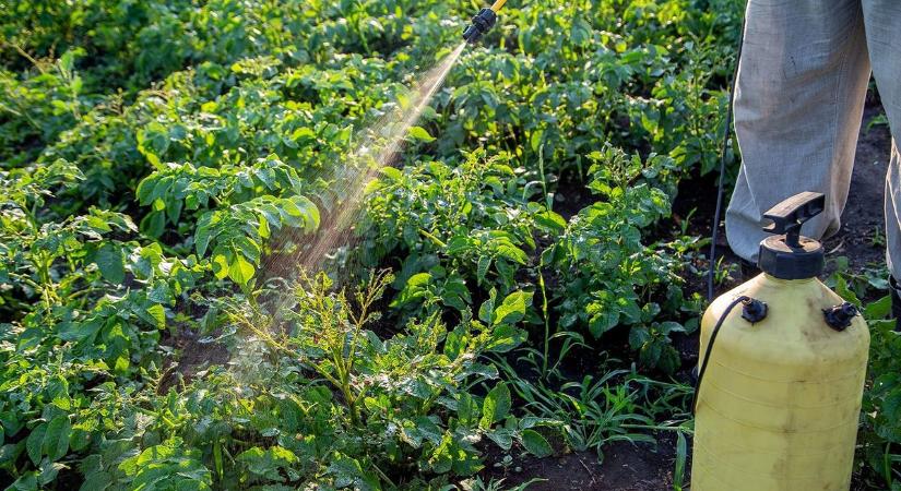 Növényvédelem: a gyomokkal és a pockokkal küzdöttek a leginkább a gazdák