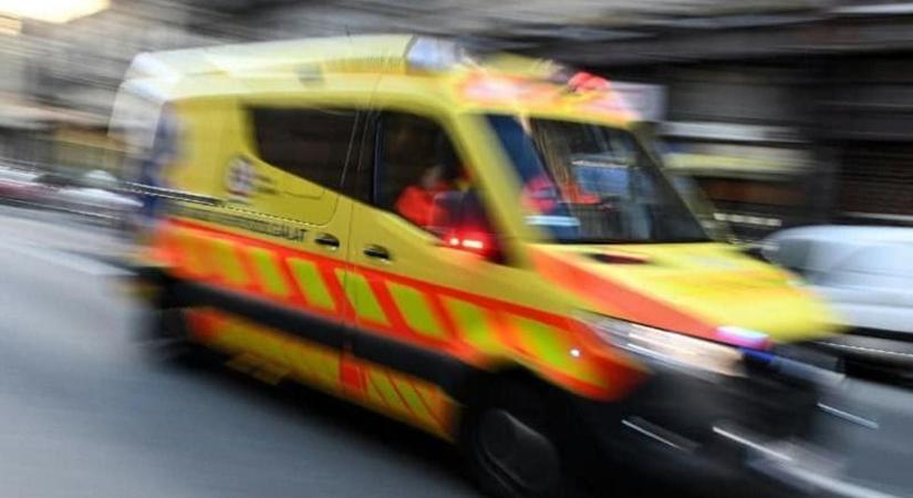 Mentőt és tűzoltót riasztottak: súlyos baleset történt egy Pest vármegyei tanösvényen