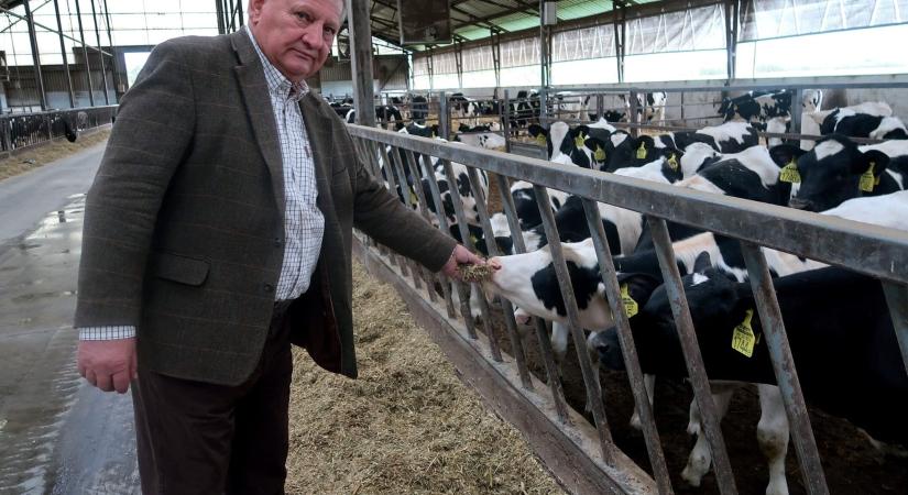 Nyakas Farm – A precíziós tejtermelés lehetőségei
