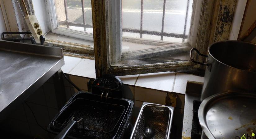Gusztustalan konyhájú budapesti éttermet záratott be a Nébih – fotók és videó