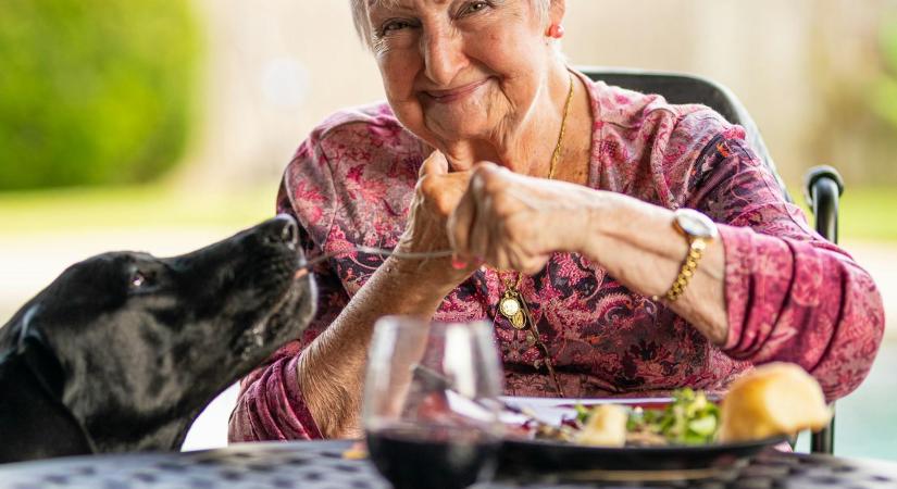 4 tavaszi finomság, amit az idősek mindenképpen egyenek