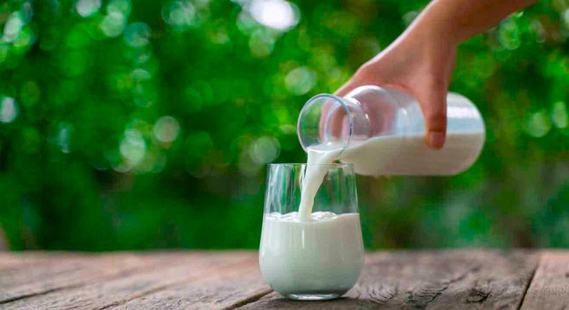 6 olcsó, házi praktika tejjel: a bőrápolásnál, a takarításnál és a kertben is hasznos