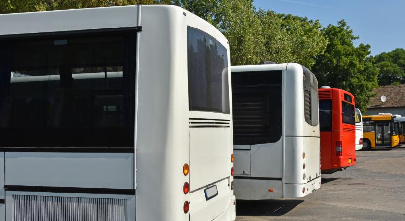 Kifakadtak a buszsofőrök: agresszív és türelmetlen a legtöbb magyar autós