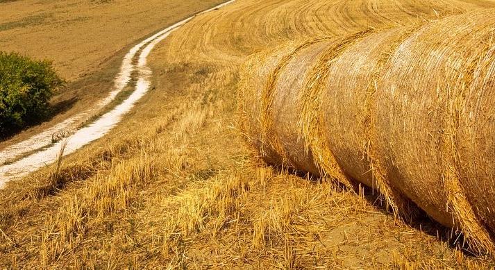 Oroszország elszállítja az ukrán gabonát és eladja az EU-nak