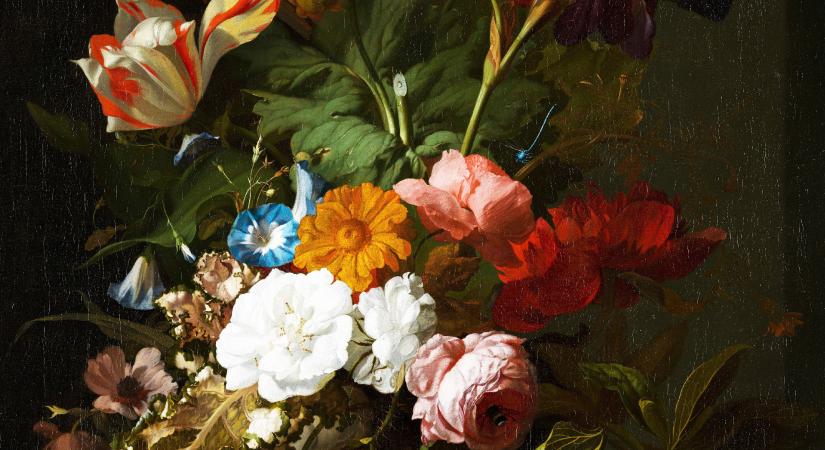 Rembrandt tulipánjai is egy vírusnak köszönhetik pompájukat – közérthetően a növényeinkre leselkedő vírusokról
