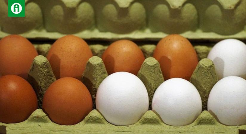 Miért drágább a barna héjú tojás, mint a fehér?