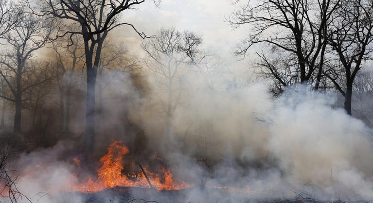 Erdőtűz közeledik egy kanadai városhoz, több ezer embert kellett evakuálni
