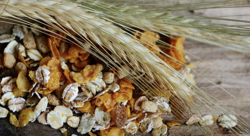 Több gabonát és gabonakészítményt exportáltak az országból