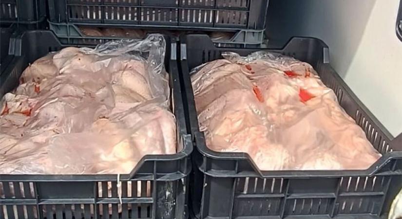 Kellemetlen meglepetés: nem akármilyen húst rejtett a túlsúlyos furgon