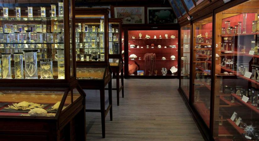 Több múzeum éjfélig is látogatható lesz Kolozsváron, a legnagyobbak azonban nem kívánnak részt venni az idei Múzeumok Éjszakáján