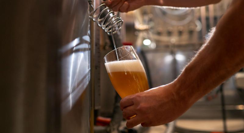 Világmegmentővé válhat a sör: a gyártásának hulladéka megtisztítja a vizet
