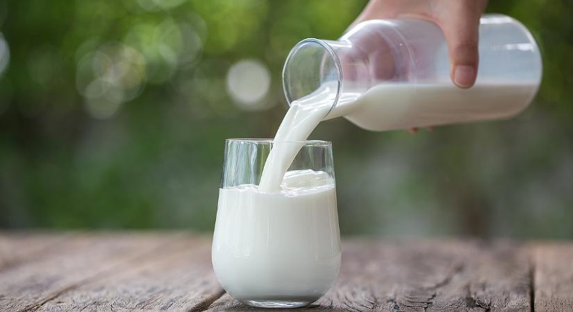 Nem minden tej, amit annak hívnak