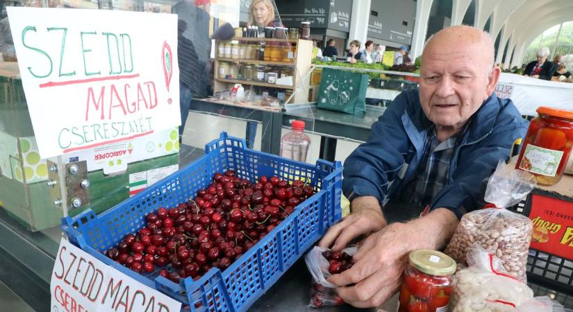 Lédús, ropogós cseresznye vár a Pécsi Vásárcsarnokban