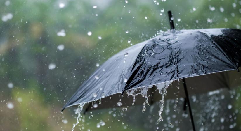 Közbeszólt az eső: így változik az Avasi Borangolás programja